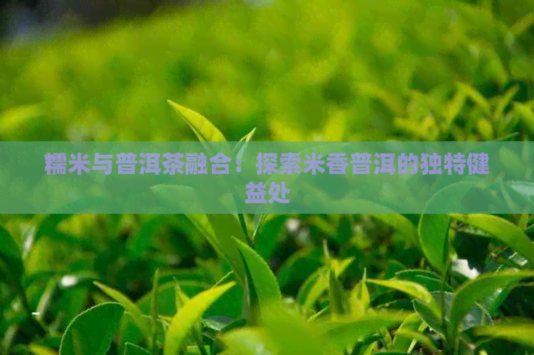 糯米与普洱茶融合：探索米香普洱的独特健益处