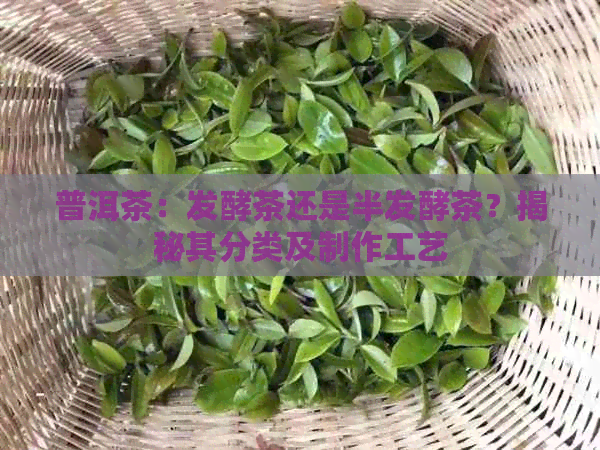 普洱茶：发酵茶还是半发酵茶？揭秘其分类及制作工艺