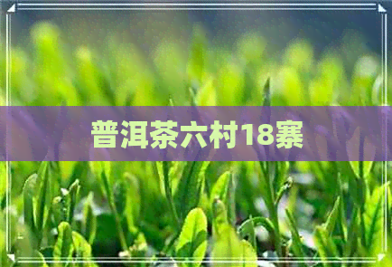 普洱茶六村18寨