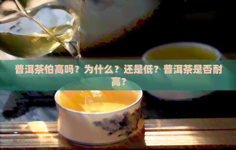 普洱茶怕高吗？为什么？还是低？普洱茶是否耐高？