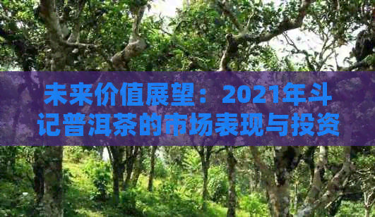 未来价值展望：2021年斗记普洱茶的市场表现与投资分析