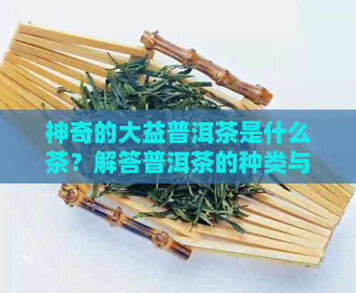 神奇的大益普洱茶是什么茶？解答普洱茶的种类与特点