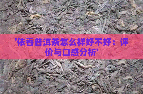 '依香普洱茶怎么样好不好：评价与口感分析'