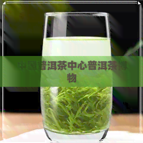 中国普洱茶中心普洱茶博物