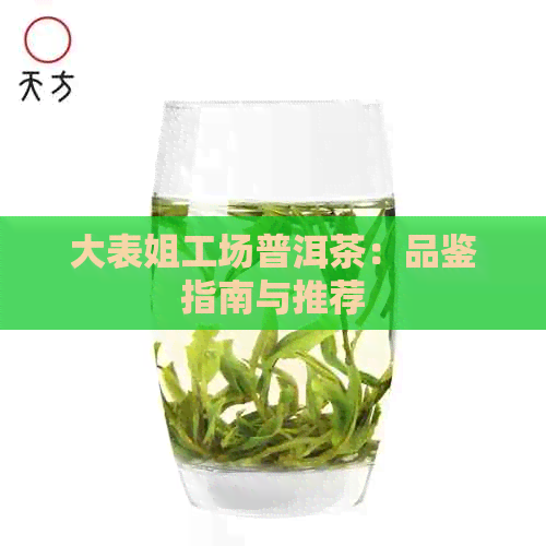 大表姐工场普洱茶：品鉴指南与推荐