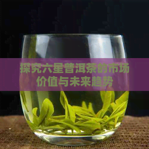 探究六星普洱茶的市场价值与未来趋势