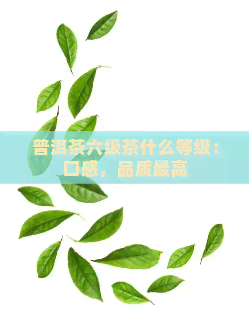 普洱茶六级茶什么等级：口感，品质更高