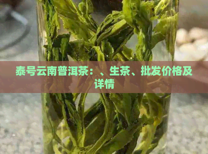 泰号云南普洱茶：、生茶、批发价格及详情