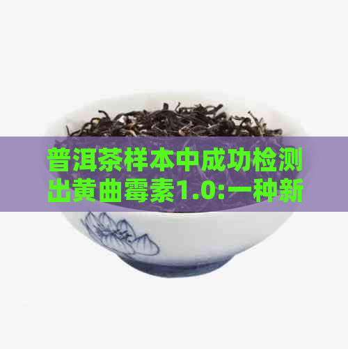 普洱茶样本中成功检测出黄曲霉素1.0:一种新的食品安全关注点