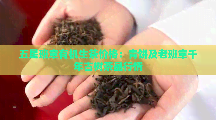 五星班章有机生茶价格：青饼及老班章千年古树茶品行情