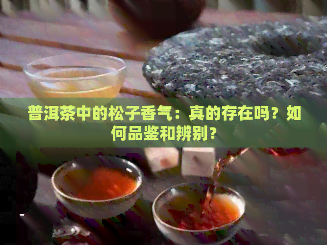 普洱茶中的松子香气：真的存在吗？如何品鉴和辨别？