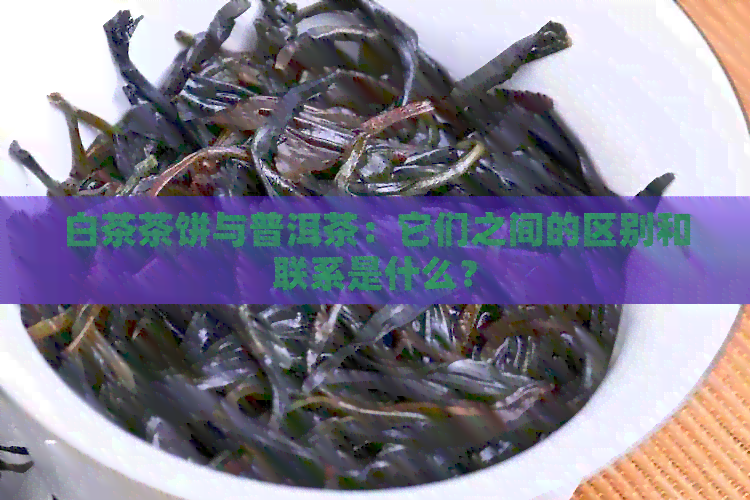 白茶茶饼与普洱茶：它们之间的区别和联系是什么？