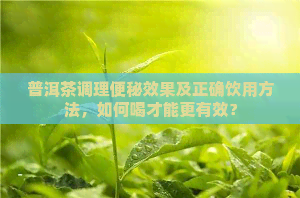 普洱茶调理便秘效果及正确饮用方法，如何喝才能更有效？