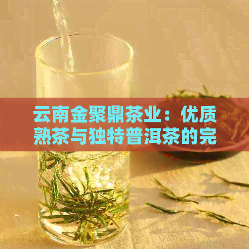 云南金聚鼎茶业：优质熟茶与独特普洱茶的完美融合