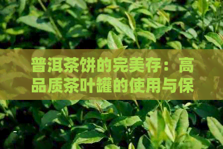 普洱茶饼的完美存：高品质茶叶罐的使用与保养