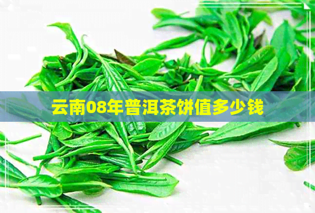 云南08年普洱茶饼值多少钱