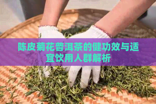 陈皮菊花普洱茶的健功效与适宜饮用人群解析