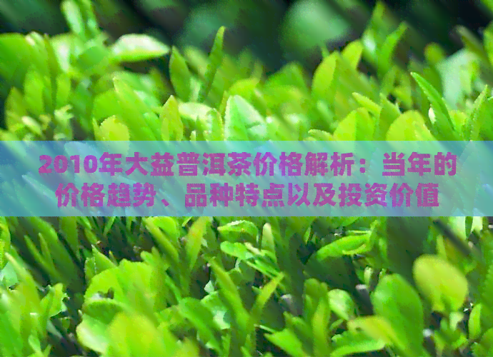 2010年大益普洱茶价格解析：当年的价格趋势、品种特点以及投资价值