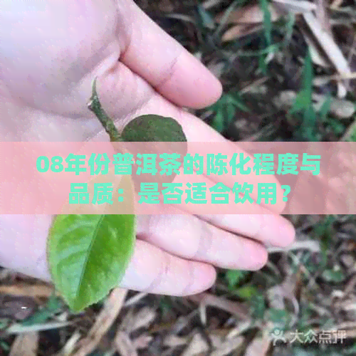 08年份普洱茶的陈化程度与品质：是否适合饮用？