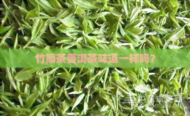 竹筒茶普洱茶味道一样吗？