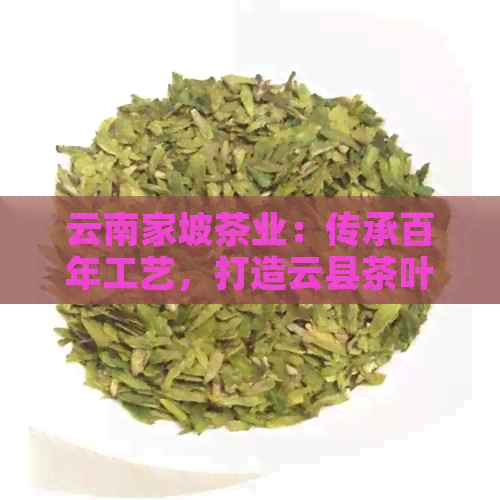 云南家坡茶业：传承百年工艺，打造云县茶叶