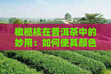 橄榄核在普洱茶中的妙用：如何使其颜色逐渐变红的泡茶技巧