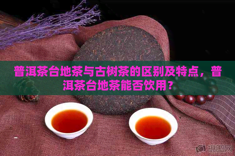 普洱茶台地茶与古树茶的区别及特点，普洱茶台地茶能否饮用？