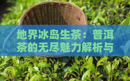 地界冰岛生茶：普洱茶的无尽魅力解析与独特特点