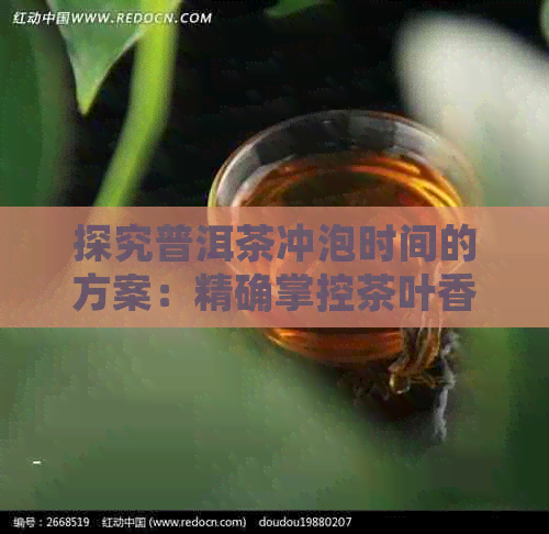 探究普洱茶冲泡时间的方案：精确掌控茶叶香气与滋味的秘诀