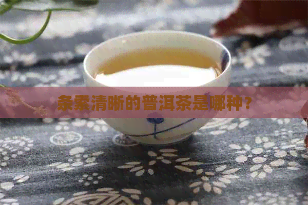 条索清晰的普洱茶是哪种？