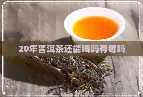 20年普洱茶还能喝吗有吗