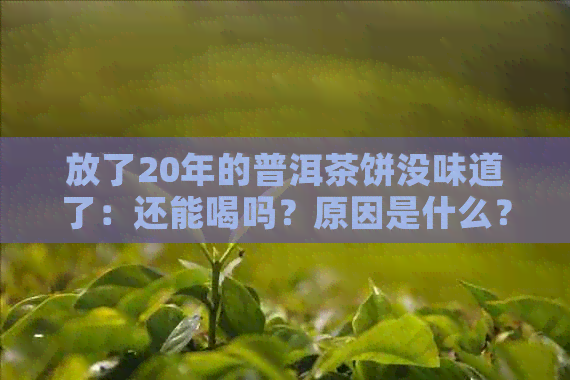 放了20年的普洱茶饼没味道了：还能喝吗？原因是什么？