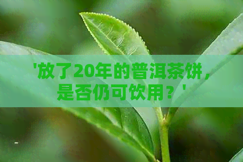 '放了20年的普洱茶饼，是否仍可饮用？'