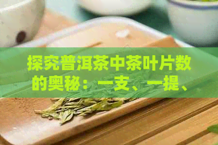 探究普洱茶中茶叶片数的奥秘：一支、一提、多少、包含等关键词解析