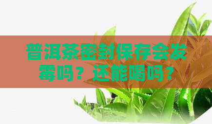 普洱茶密封保存会发霉吗？还能喝吗？