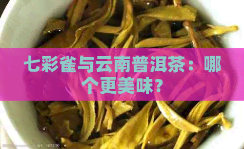 七彩雀与云南普洱茶：哪个更美味？