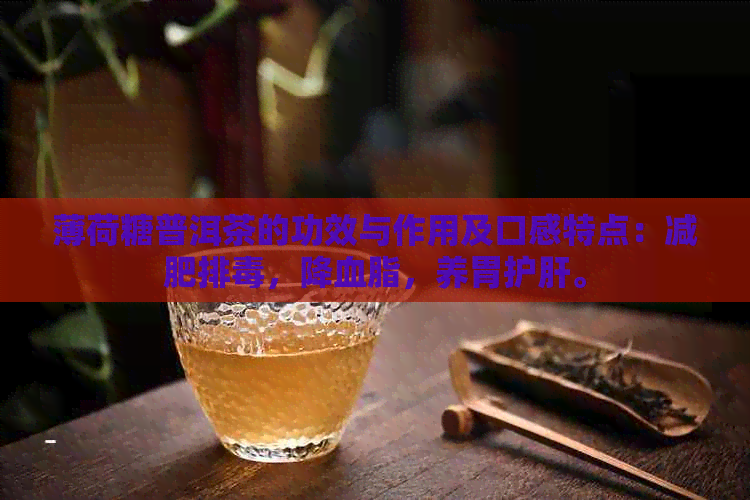 薄荷糖普洱茶的功效与作用及口感特点：减肥排，降血脂，养胃护肝。