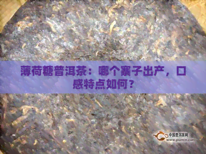 薄荷糖普洱茶：哪个寨子出产，口感特点如何？