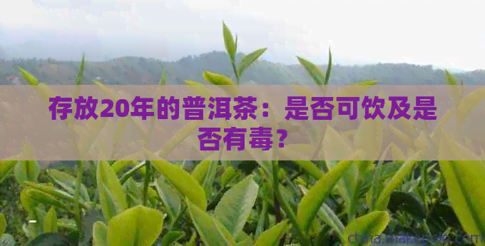 存放20年的普洱茶：是否可饮及是否有？