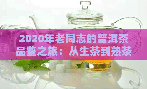 2020年老同志的普洱茶品鉴之旅：从生茶到熟茶，一场年迈风味的探险