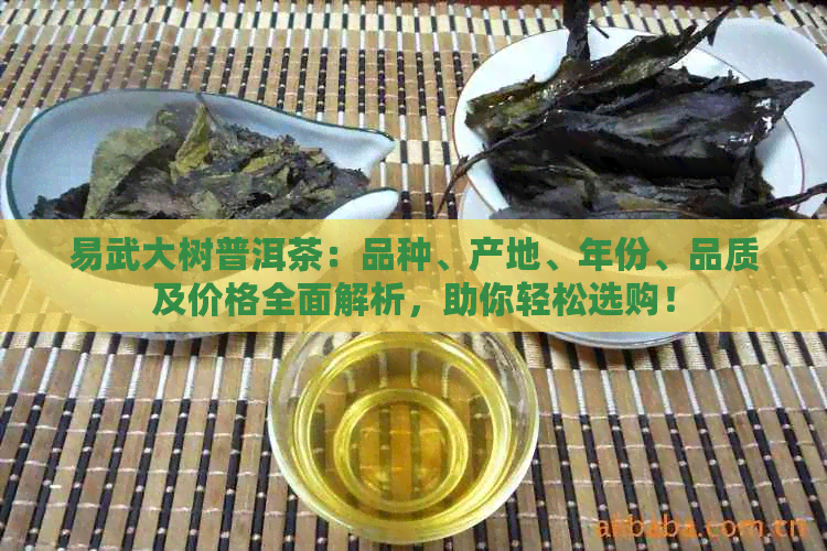 易武大树普洱茶：品种、产地、年份、品质及价格全面解析，助你轻松选购！