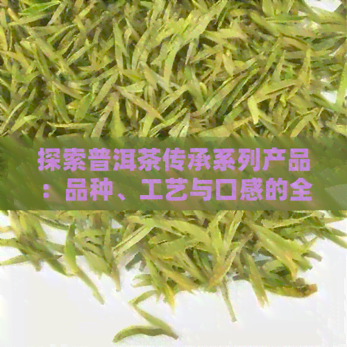 探索普洱茶传承系列产品：品种、工艺与口感的全面解析