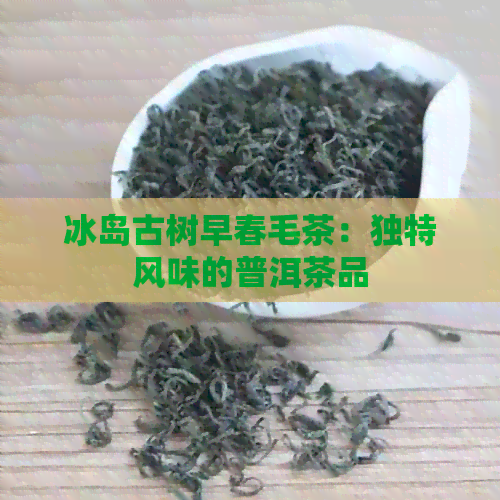 冰岛古树早春毛茶：独特风味的普洱茶品