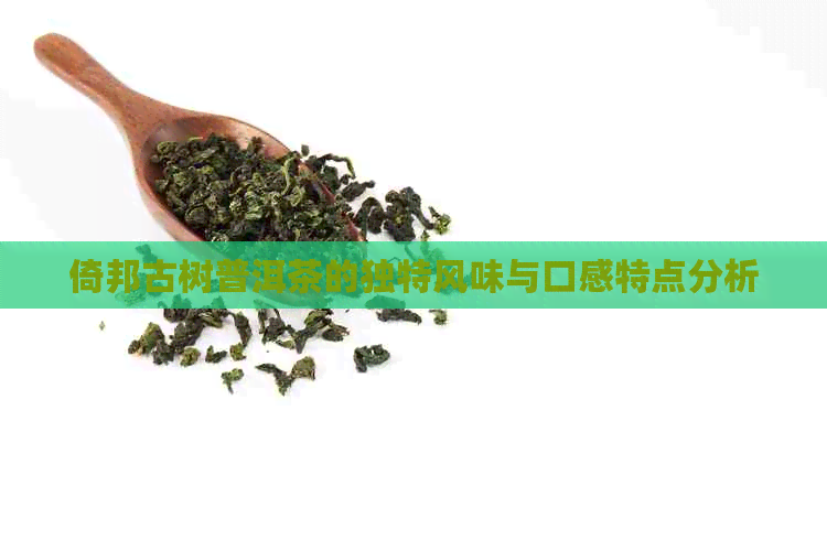 倚邦古树普洱茶的独特风味与口感特点分析