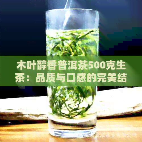 木叶醇香普洱茶500克生茶：品质与口感的完美结合，了解如何选择与冲泡