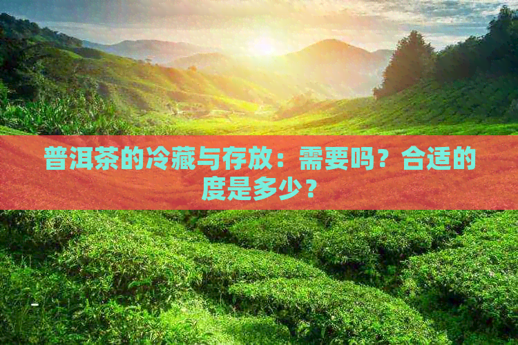 普洱茶的冷藏与存放：需要吗？合适的度是多少？