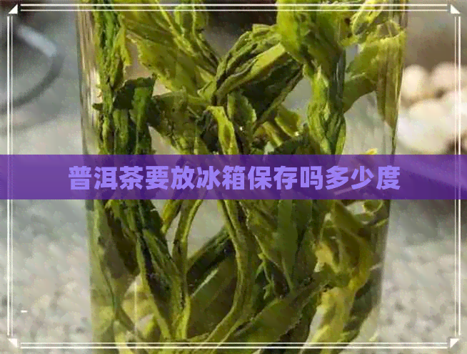 普洱茶要放冰箱保存吗多少度