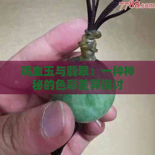 鸡血玉与翡翠：一种神秘的色彩差异探讨