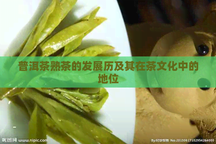 普洱茶熟茶的发展历及其在茶文化中的地位