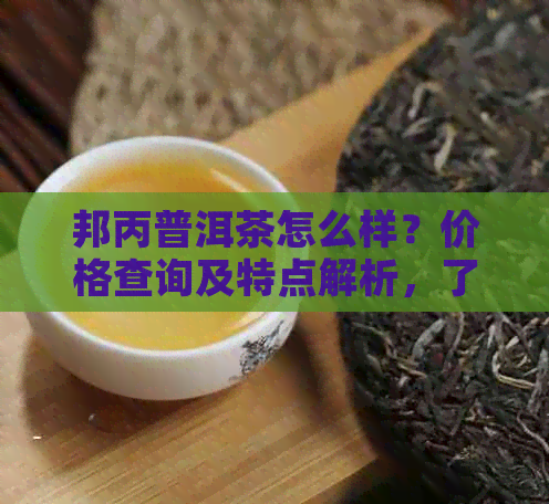 邦丙普洱茶怎么样？价格查询及特点解析，了解邦丙古树普洱来自哪个茶区。